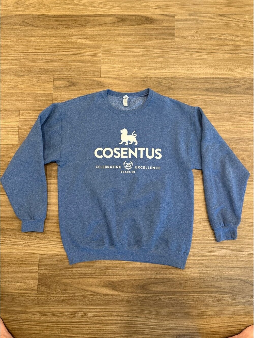 Jerzees Crewneck Pullover Graphic Sweatshirt Company Logo Size Large #JR4587